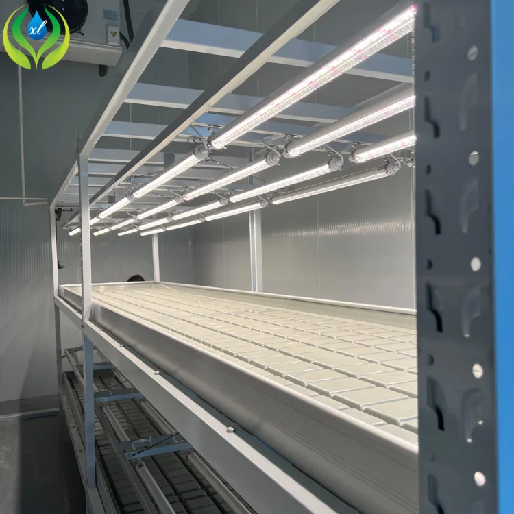 MYXL 4x8ft Indoor Farming Vertical Multi Layer Grow Rack Systems ...