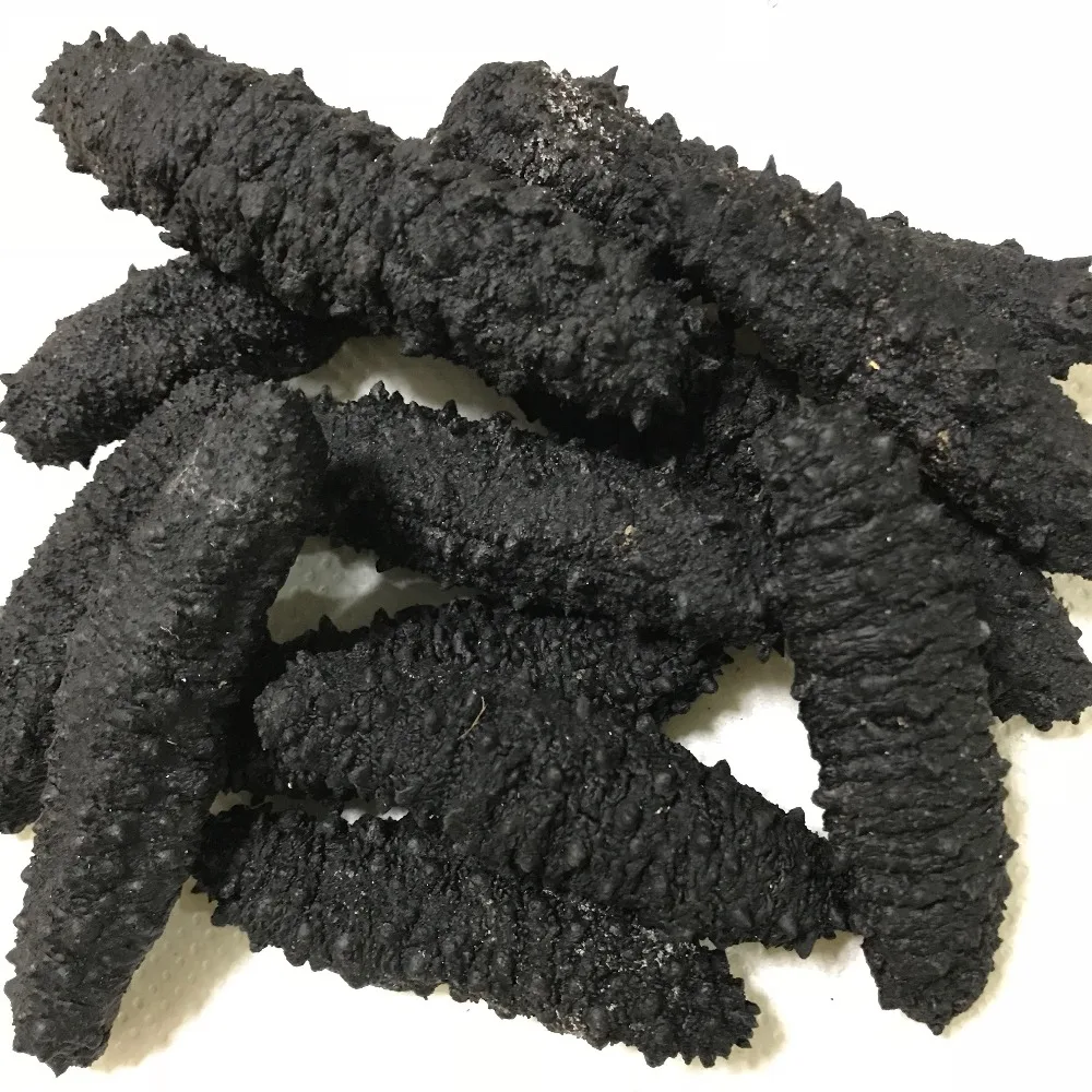 Cheap Price Sea Cucumber Best Quality Sun Dried Sea Cucumber Buy