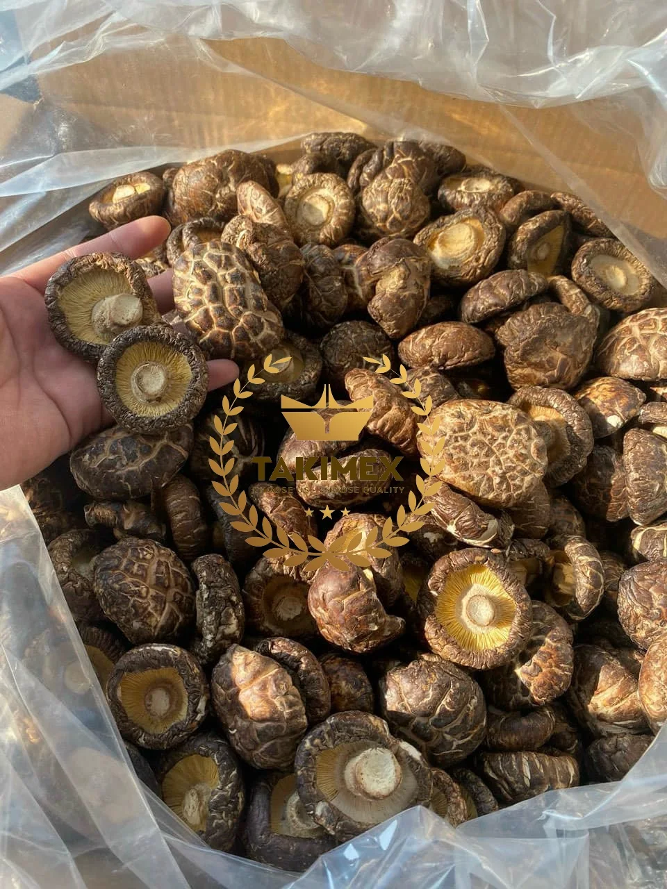 Organic Dried Shiitake Mushroom Dried Food High Quality Shiitake