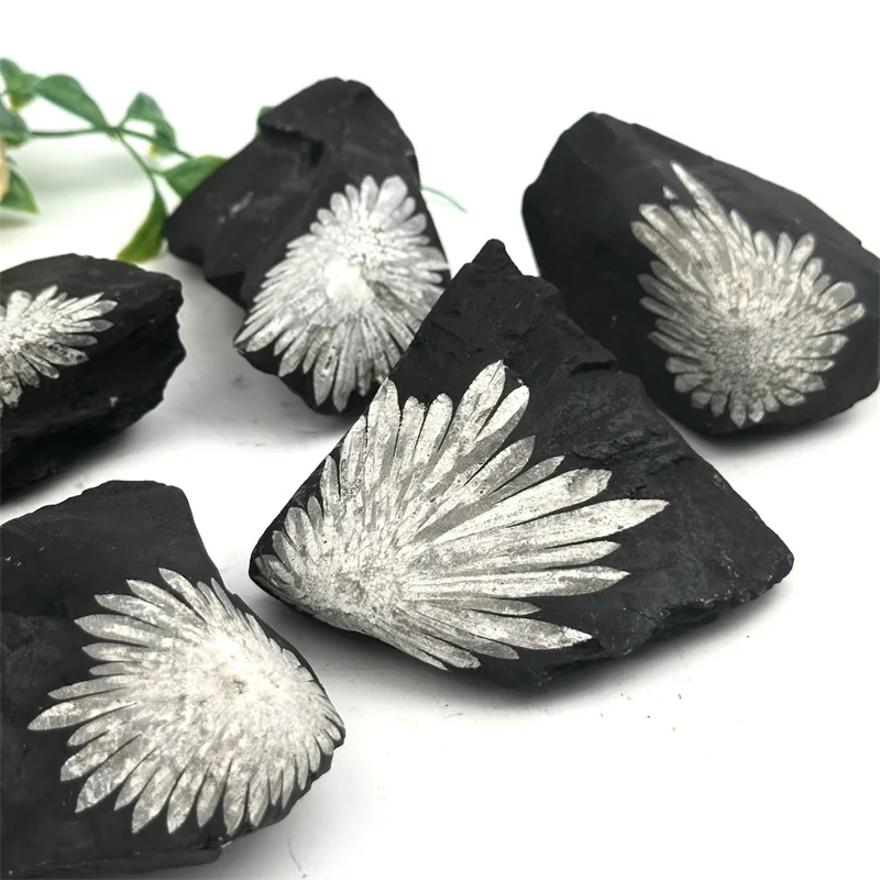 菊花水晶♡浄化強♡透明度♡No.2324