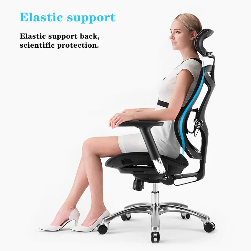 Sihoo V1 Height Adjustable Mesh High Back Swivel Chair Ergonomic Full Mesh Office Chair