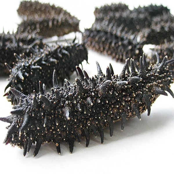 Premium Dried Sea Cucumber/ White Teat Cucumber/ Black Cucumber Buy High Grade Dry Sea