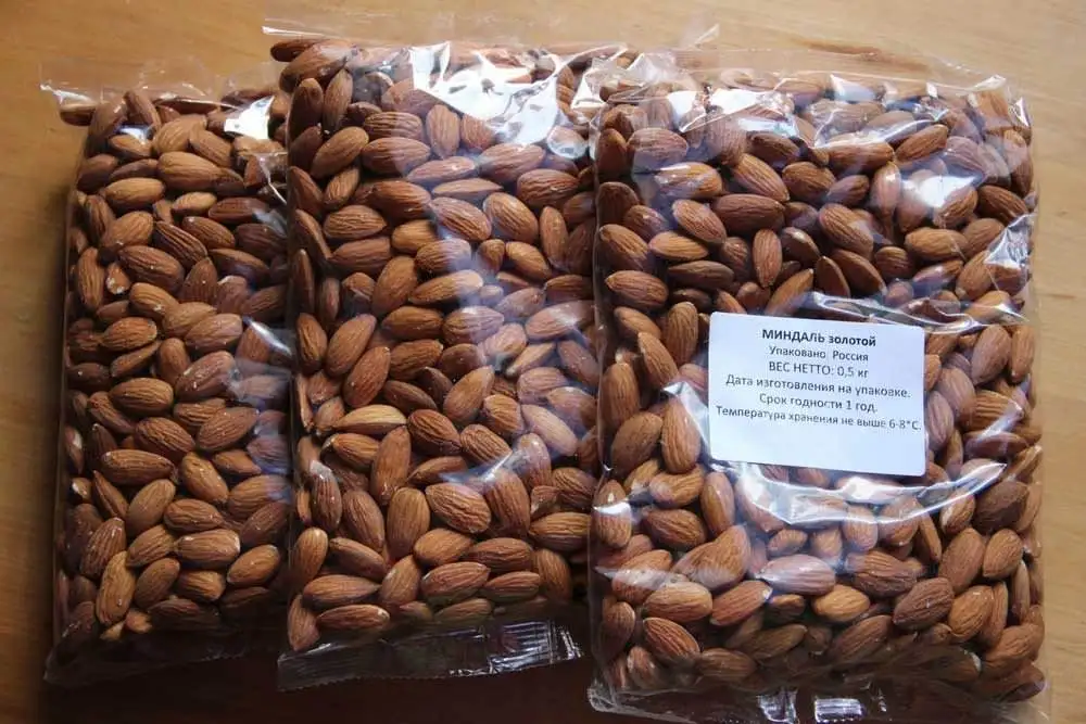 NUTS1.jpeg