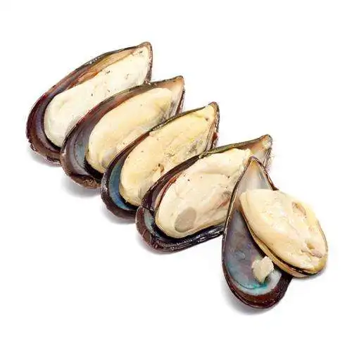 Seafood Shellfish Frozen Half Shell Mussel Buy Frozen Shellfish