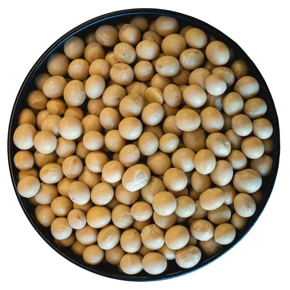 High Quality Soybean Protein Light Yellow Soybean Peptide 90 Dry