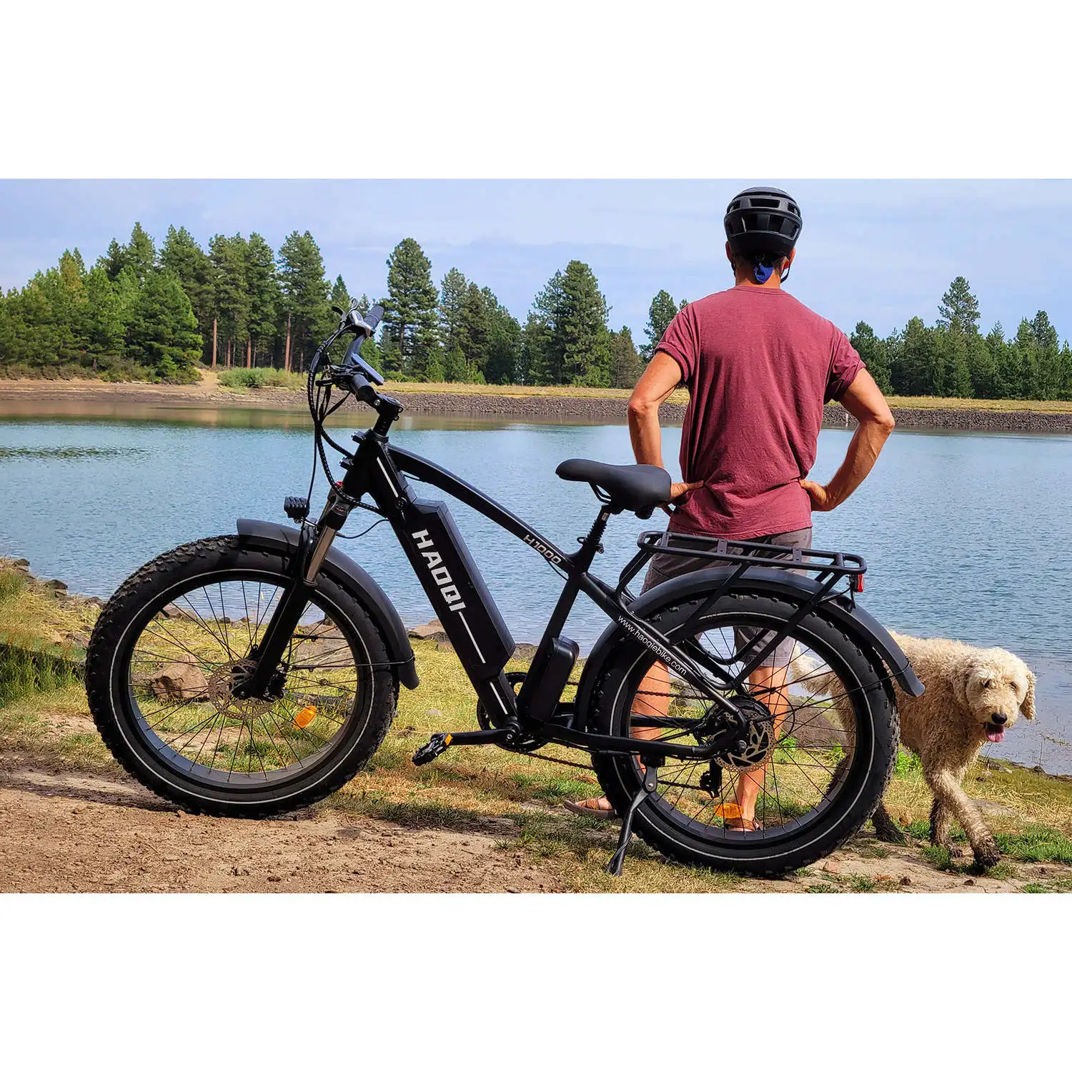 HAOQI Black Leopard Pro Fat Tire Electric Bike (UL Certified)