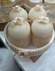 Available in Different Colors