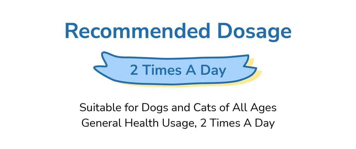 Dog Calcium Old Dogs Calcium Supplement Tooth Development Puppy Dog