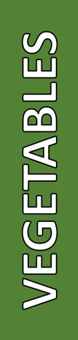 Picture9.png