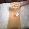 Clip in