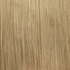 Light Blonde