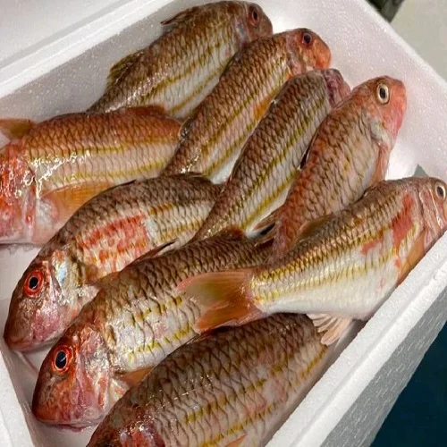 500800g Frozen Red Tilapia Fish Black Tilapia Buy Hot Sale Tilapia