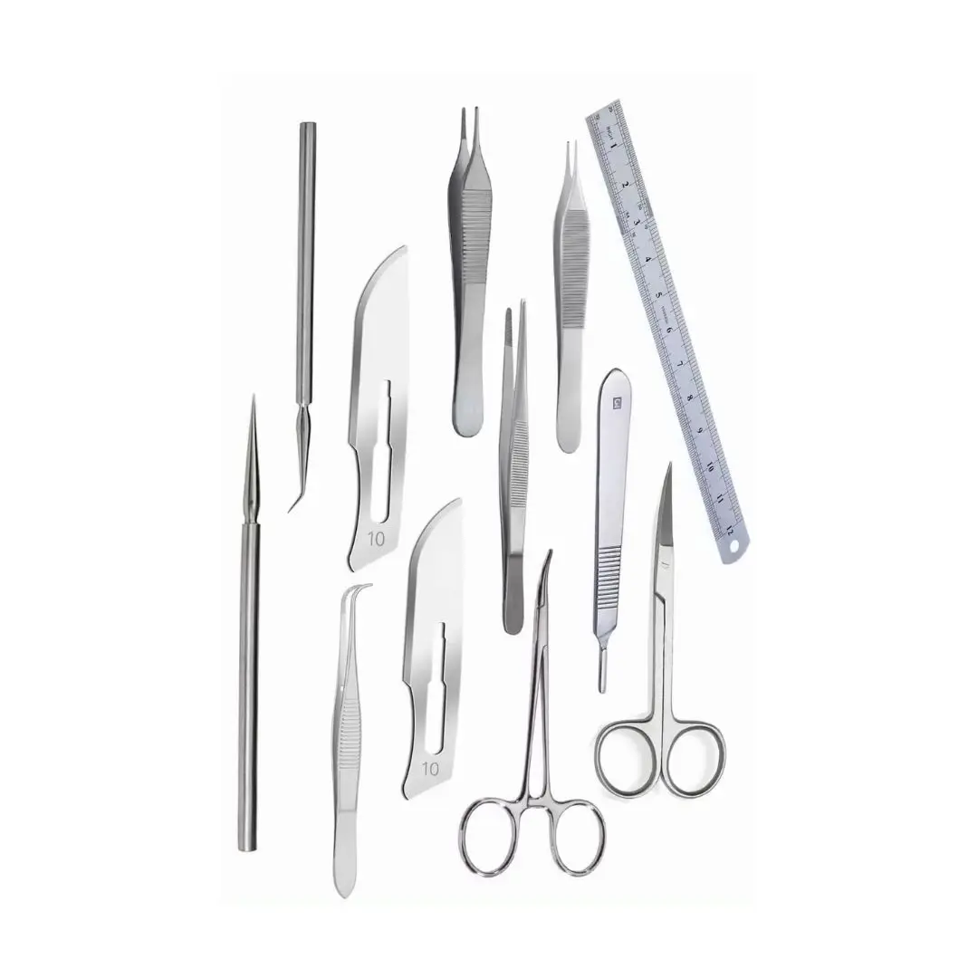 Veterinary Instrument Set Avian Dissection Kit Stainless Steel Tools ...