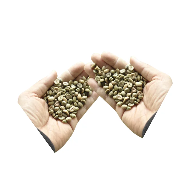 Arabica Coffee Beans Wholesale High Grade Product Raw Coffee Beans