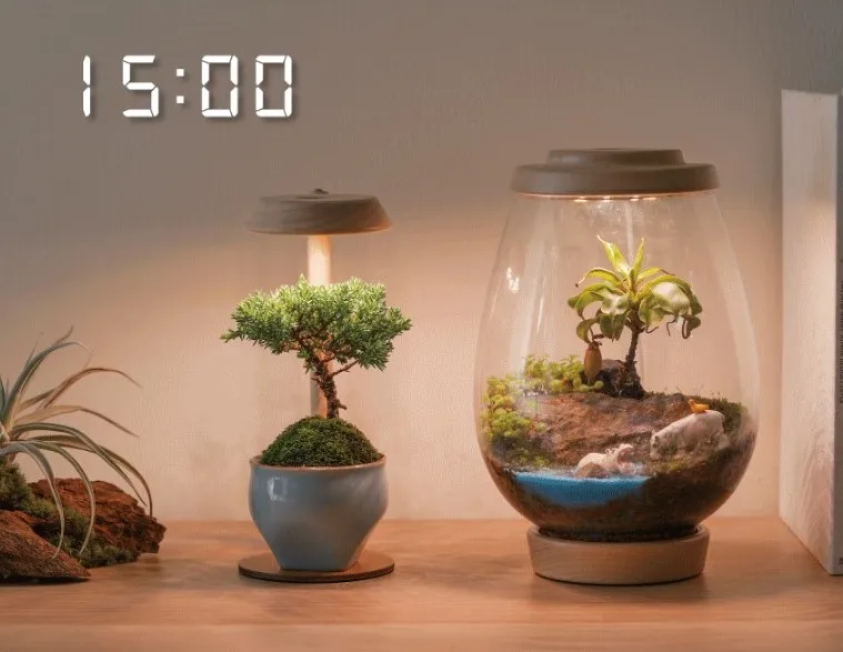 [2.9r] Exquisite Led Smart Wooden Grow Terrarium Light Plants Desk