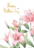 งาช้าง