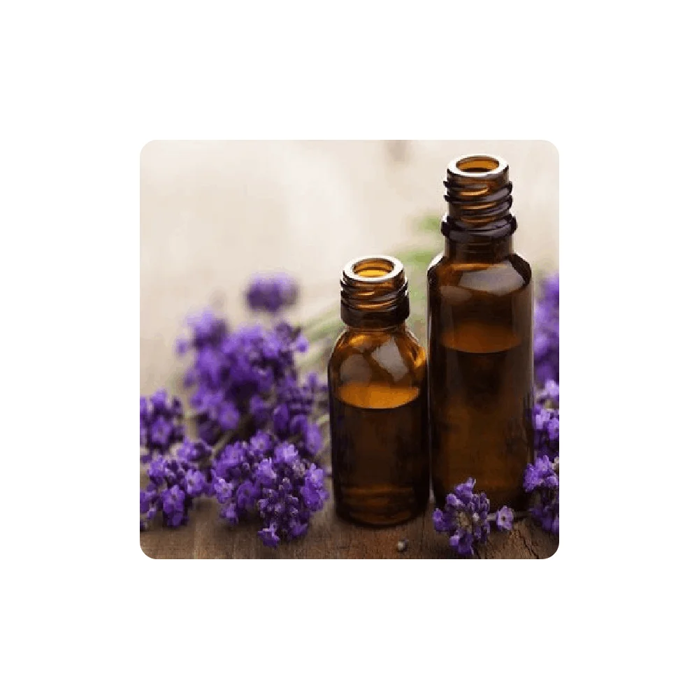 Organic And Fresh Lavender Essential Oil Best Essential Oils For Sleep High  Quality Natural Lavender Oil - Buy Best Essential Oils For Sleep Lavender  Oil In Hindi Lavender Massage Tom Ford Lavender