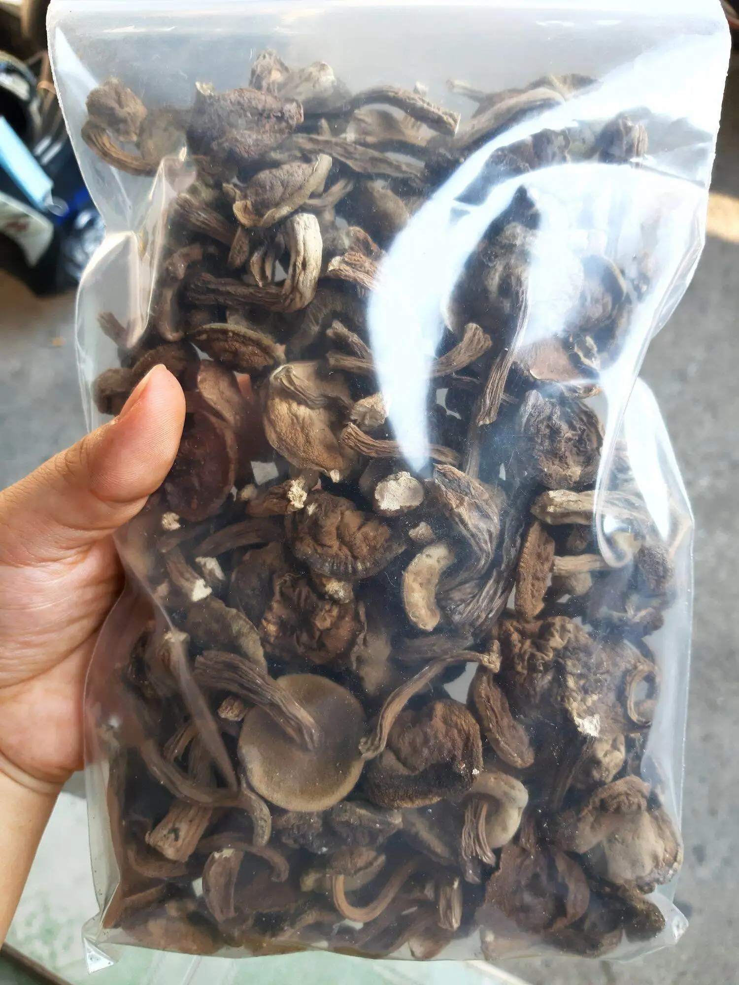 Замороженный сушеный шиитаке мелалеука гриб Tylopilus Felleus из Вьетнама сырое пищевое дополнение в упаковке