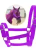 morado