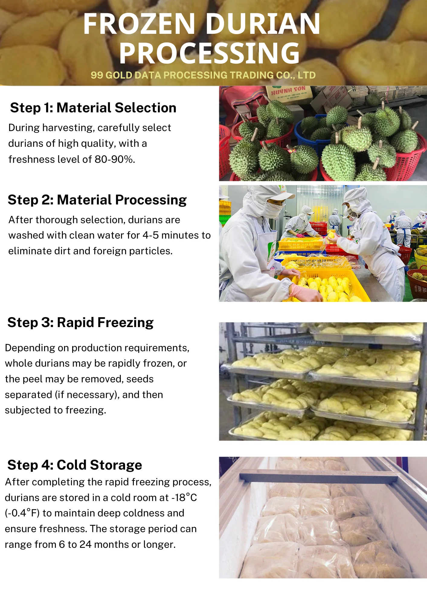 Organic Frozen Fresh Durian Bulk Vacuum Pack Competitive Price and High ...