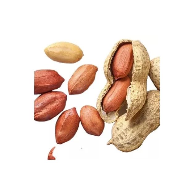 Wholesale Raw Kernel Peanuts High Quality Buy Red Skin Peanuts