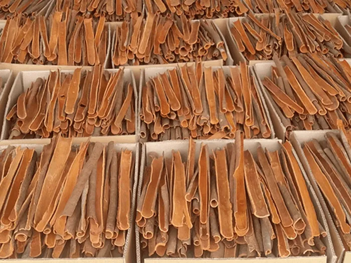 BEST PRICE SPLIT CINNAMON Made in Vietnam with High Quality // Good Quality From Vietnam // Ms. Beatrix
