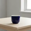 AZUL OSCURO