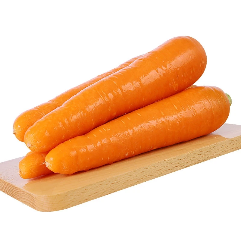 Premium Quality Fresh Carrots New Season Buy Fresh
