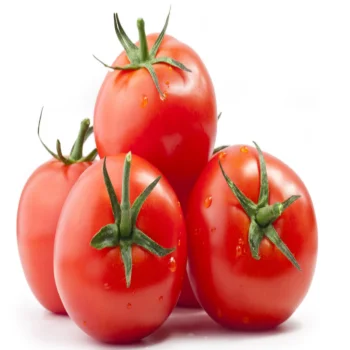 11 (1).png