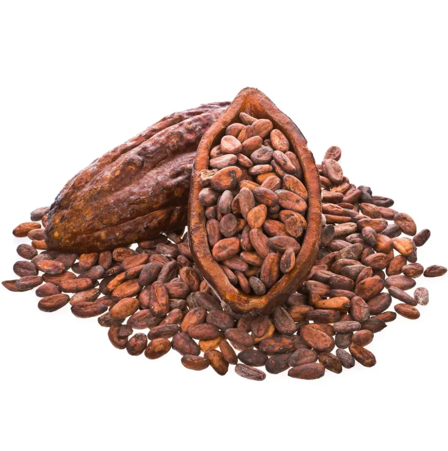 03000 (11).png