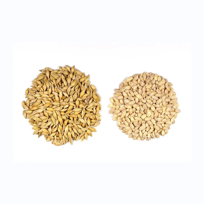 Bulk Malted Barley,Barley Grain Ready For Export Buy Top Quality