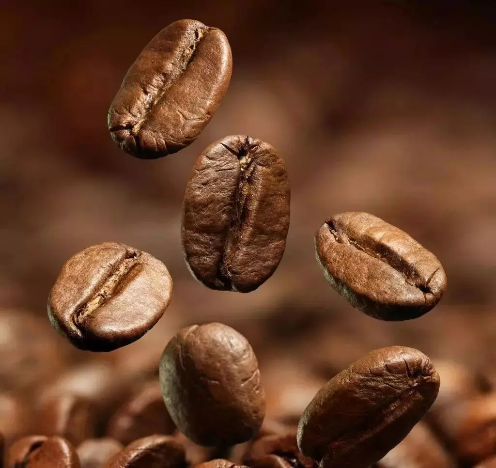 Global Original Sources EU standards certified custom roasted coffee For nutraceutical industry