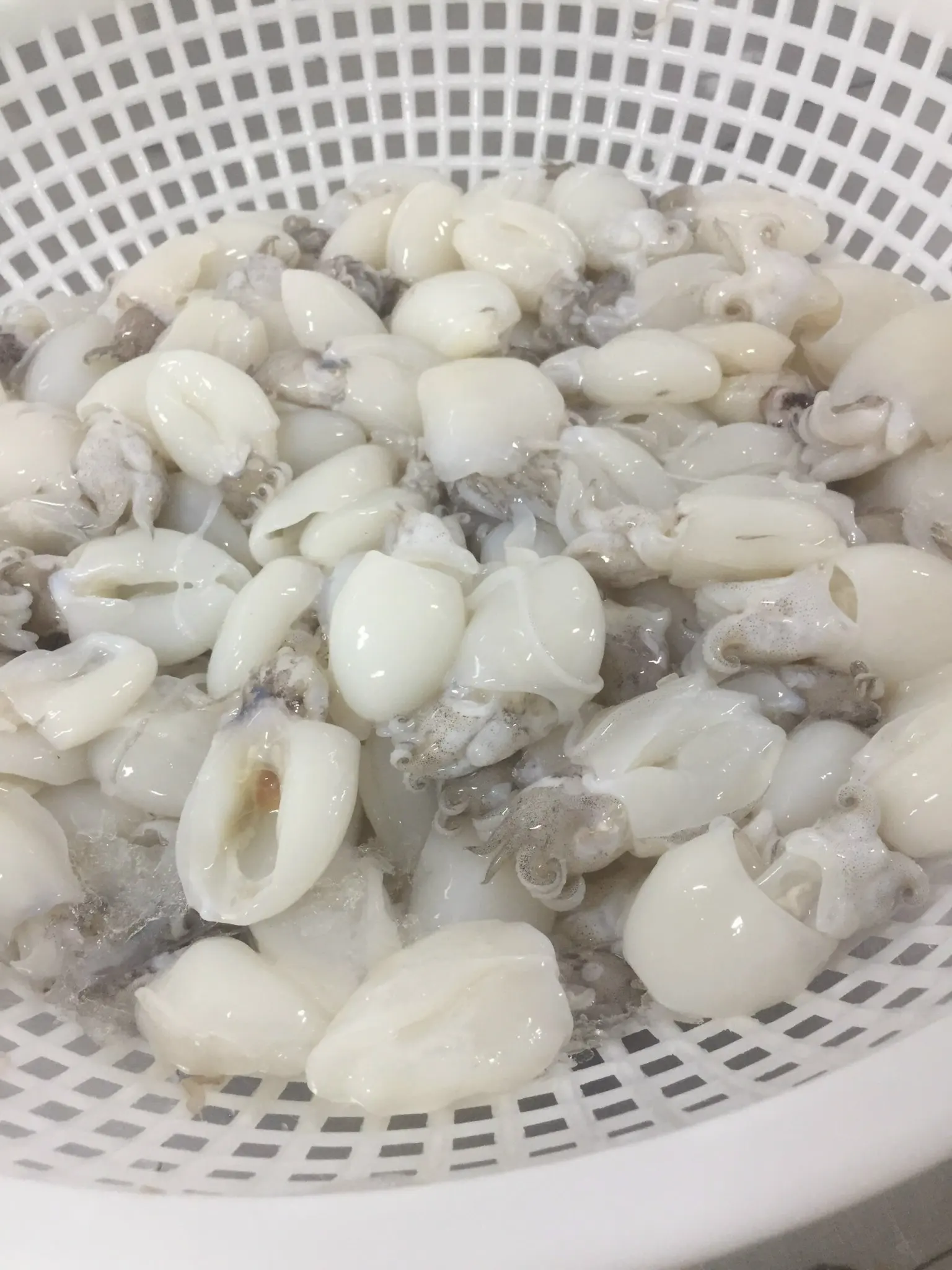 Вакуумная упаковка для замороженных морепродуктов самые продаваемые продукты IQF питательные приготовление каракатиц + 84792840198