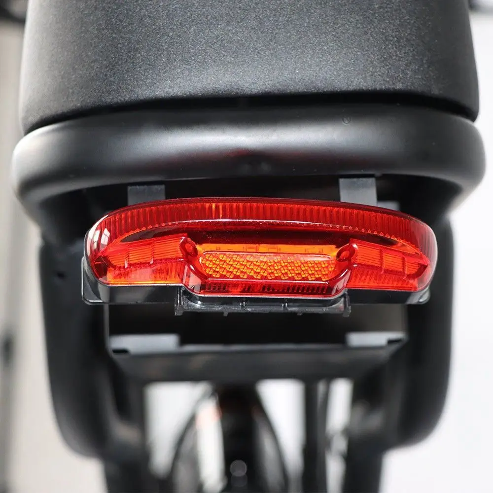 HOTTECH 48V 250W Electric Mountainbike with 20 Fat Bike B66 Steel Frame 15Ah Battery 7-Speed Tektro Disc Brakes Full Suspension