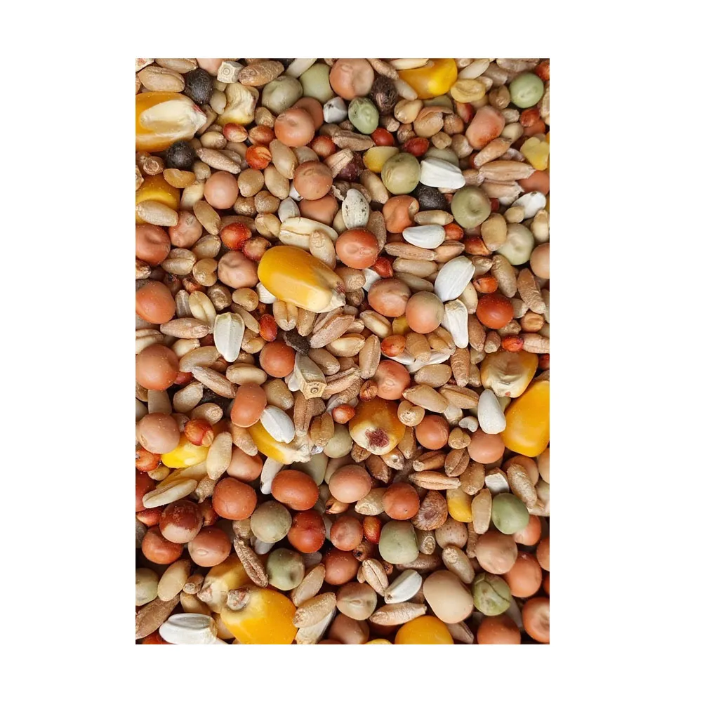 Food 25kg Bagged Corn Pigeon Natural Bird Feed Canary Parrot Bird Seed ...