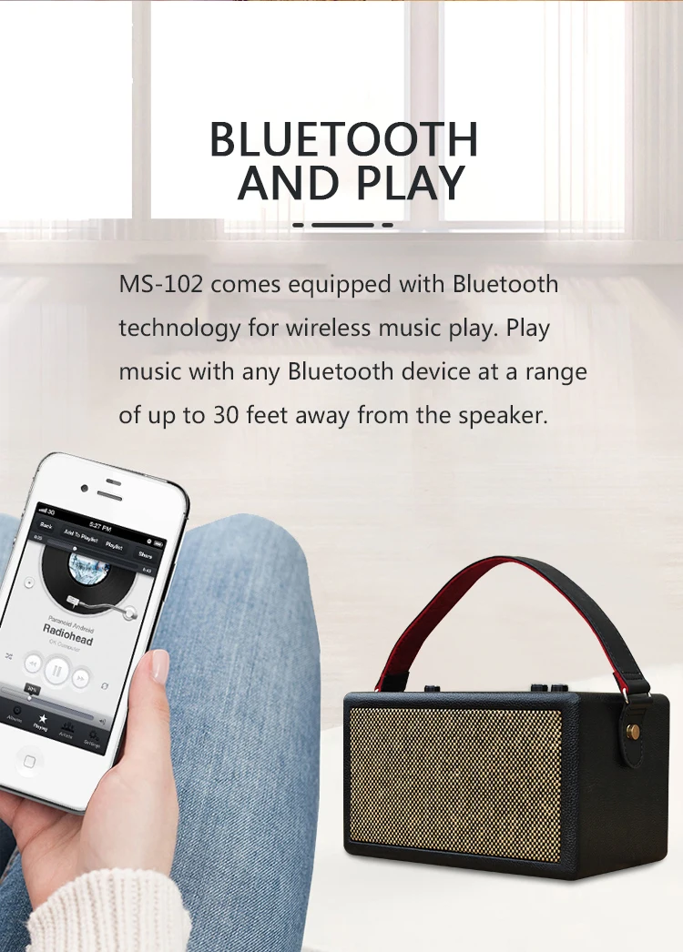 Light Weight and Equipped With Carrying Handle 3600mAh Powerful Portable Karaoke Bluetooth Speaker 30Watts