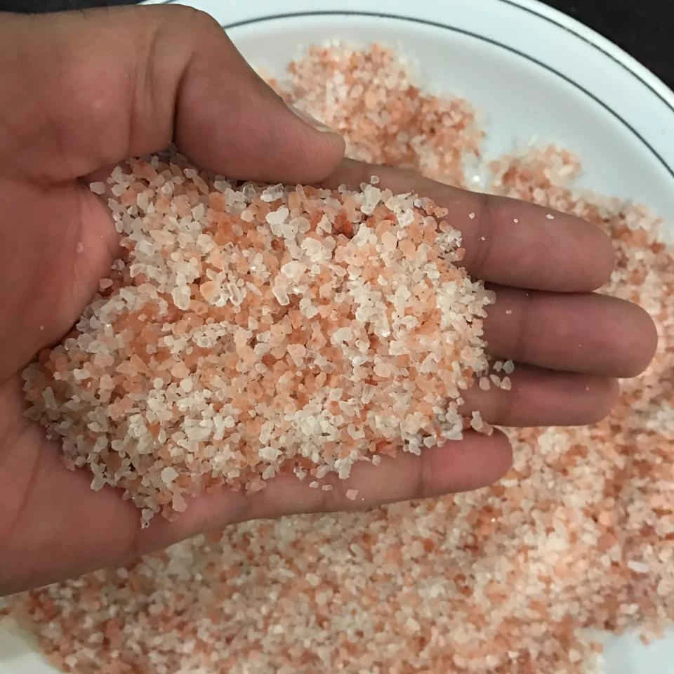 Wholesale Price Himalayan Edible Pink Salt 100 Pure Refined Himalayan