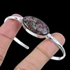 Eudialyte