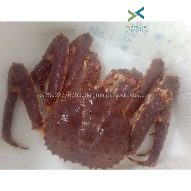 Wholesale Sea Food Mix/frozen Snow Crab Canada Supplier Buy Crab Legs