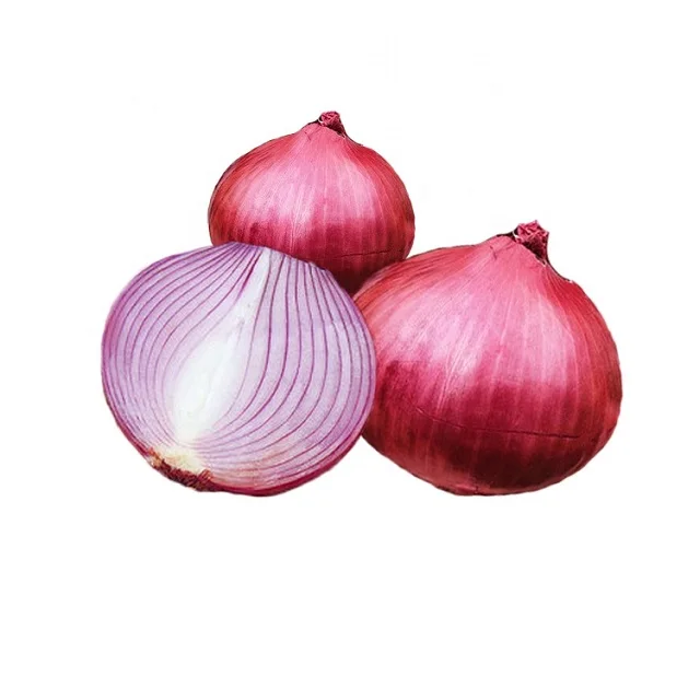 onions1.jpeg