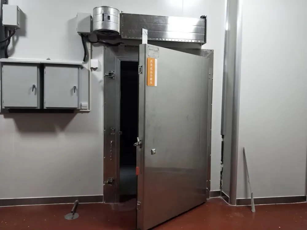 Factory Wholesale Customized Meat Food Freezer PU Insulated Cold Sliding Door