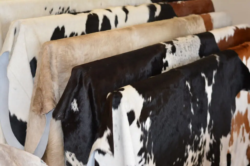 Best Quality Of Dry And Wet Salted Cow Hides / Skins / Animal Cattle