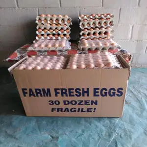 Farm Fresh Chicken Table Egg Brown and White Shell Chicken Eggs in France Style Color Shelf Origin/white Chicken Eggs Available