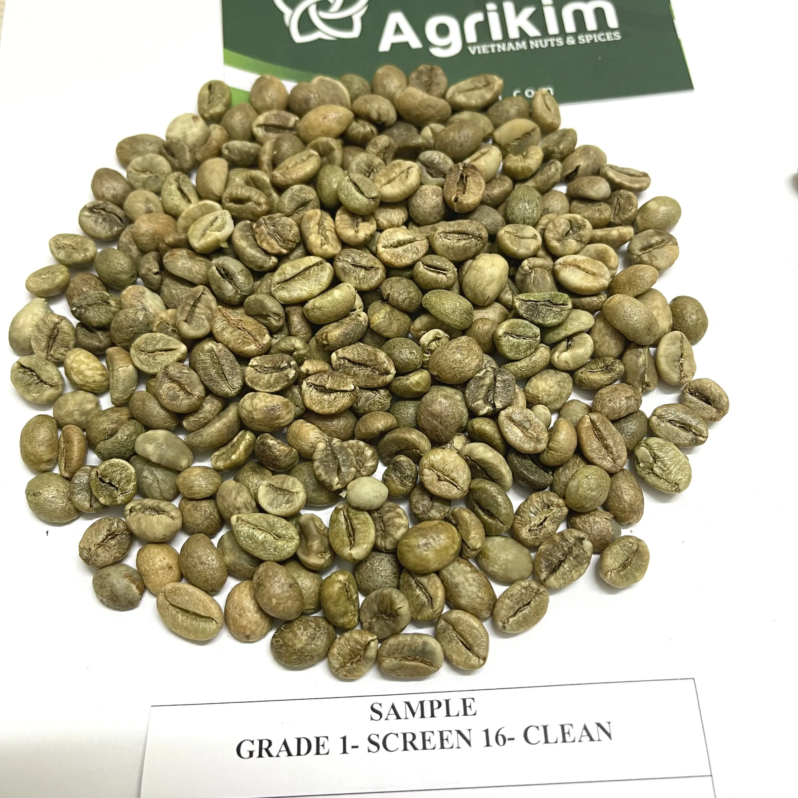 New Crop 2024 Vietnamese Green Coffee Beans High Quality Arabica ...