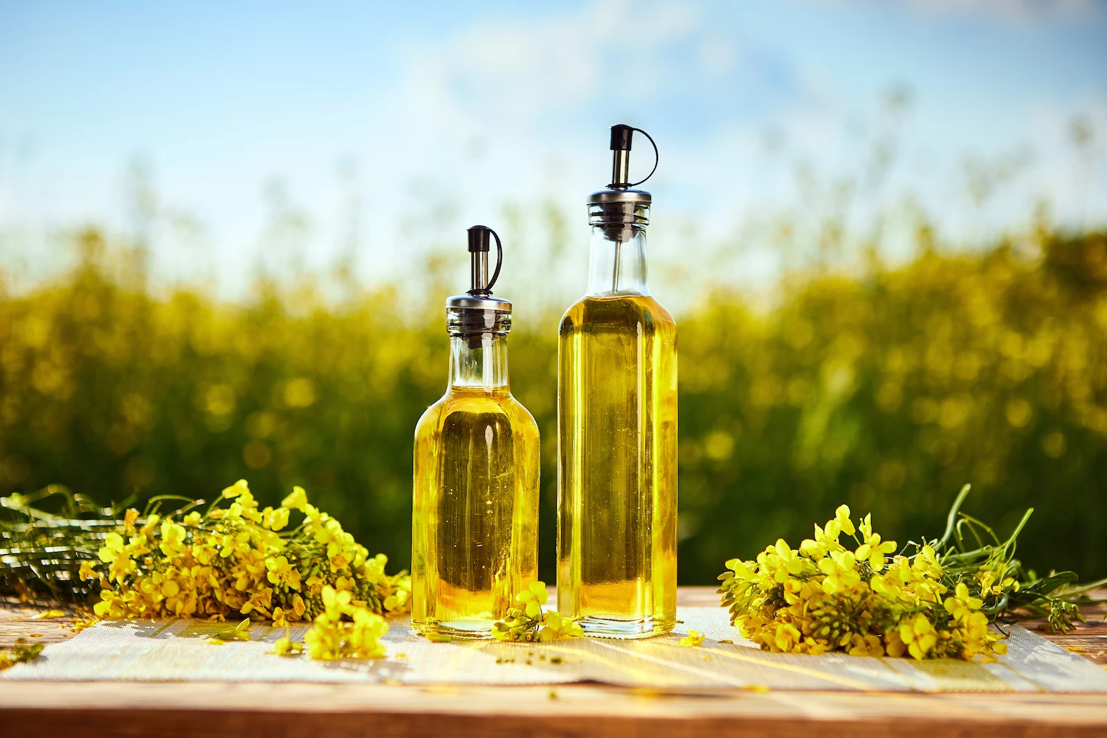 High Quality Pure Refined And Crude Rapeseed / Canola Oil Buy Rbd