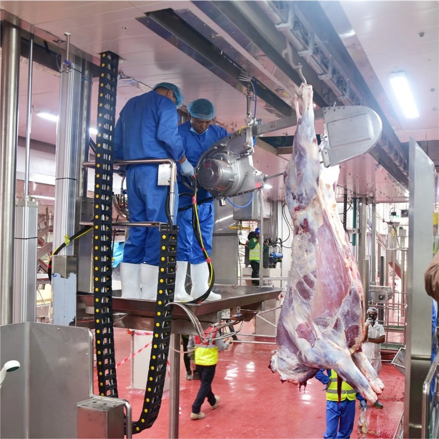 Professional Beef Carcass Cutting Saw - Heavy-Duty Construction, High Production, Industry-Leading Reliability