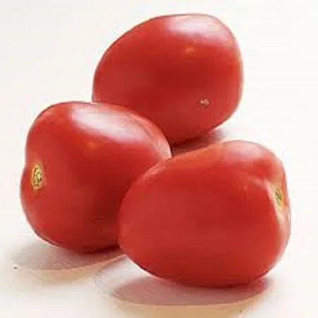 Fresh tomatoes 09.jpg