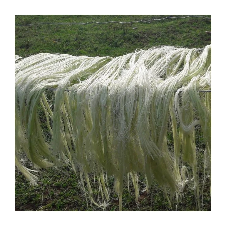 White Sisel 2023 Top Grade Sisal Fiber / White Natural Fiber in Bulk| Alibaba.com