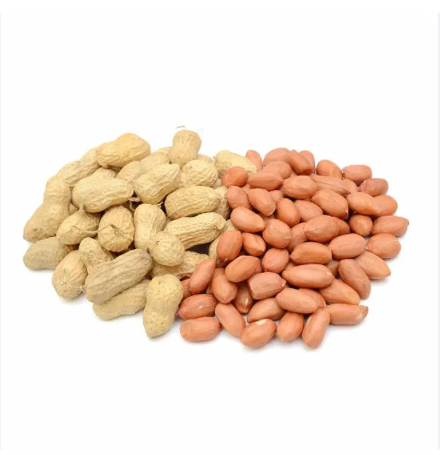 Best Price Natural Peanut Groundnut Bulk Product From Thailand  Natural Raw peanuts for Food