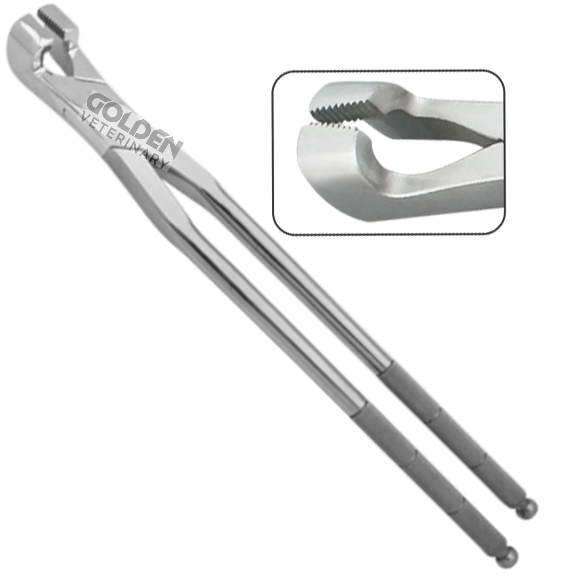 Serrated Jaw Molar Equine Dental Forceps With Fulcrum 19 Equine